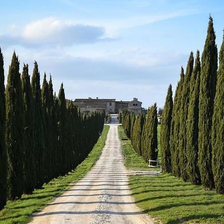 Cozy Home In Countryside Asciano Siena -Renovated! ภายนอก รูปภาพ