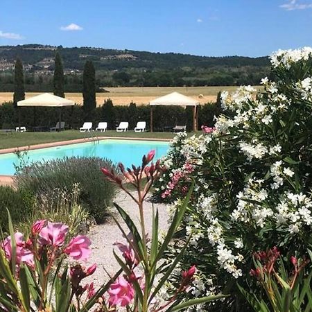 Cozy Home In Countryside Asciano Siena -Renovated! ภายนอก รูปภาพ