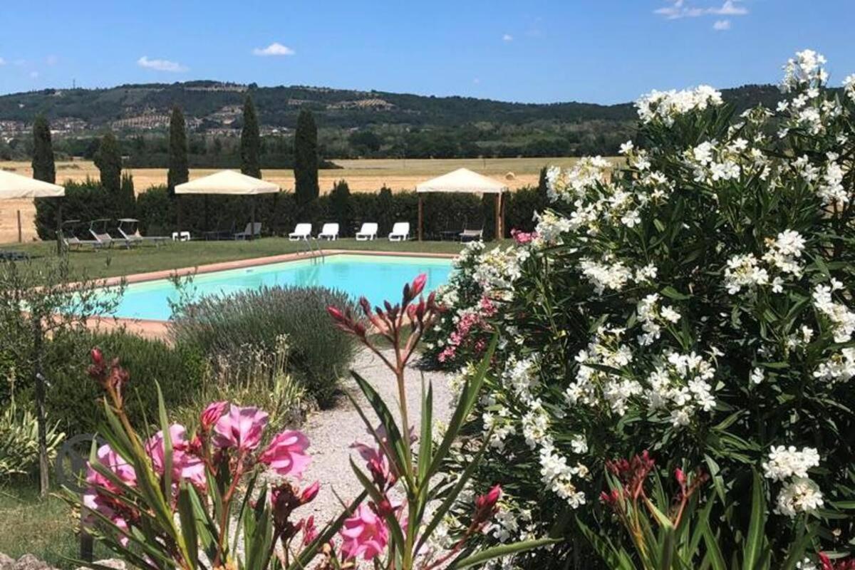 Cozy Home In Countryside Asciano Siena -Renovated! ภายนอก รูปภาพ